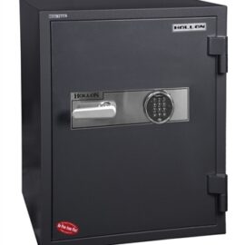 Hollon HDS-750E